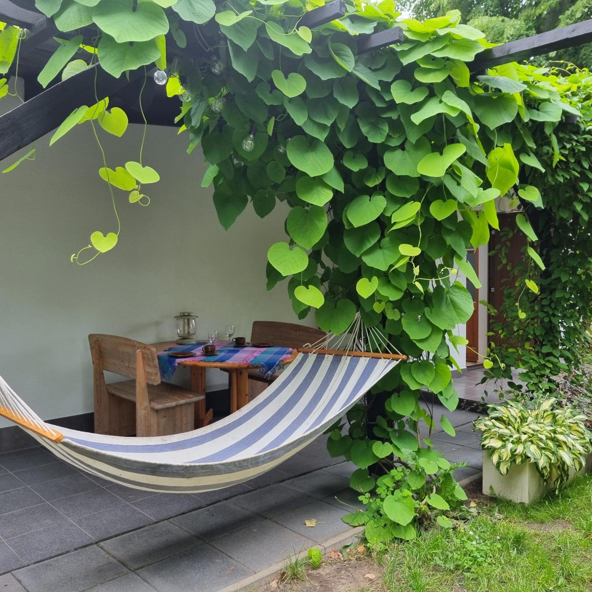 Pokoje I Apartamenty Przy Sosnowej Poddąbie Extérieur photo