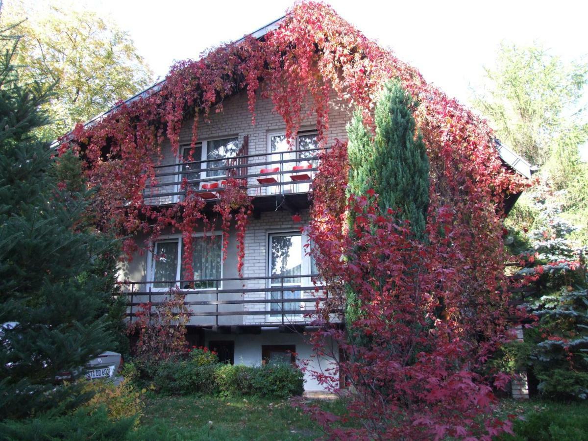 Pokoje I Apartamenty Przy Sosnowej Poddąbie Extérieur photo